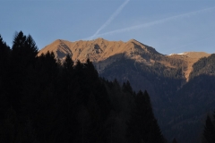 TulotVertical_28012017_(41)