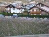 2-DSC_0250 (11)