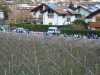 2-DSC_0250 (12)