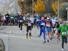 2-DSC_0250 (6)