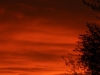 L_DSC_0752 (4)