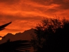 L_DSC_0752 (5)