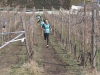 NNDSC_1271 (13)