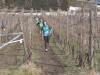 NNDSC_1271 (14)
