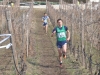 NNDSC_1271 (16)