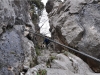 DalDossalDoss_8