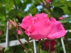 002_DSC_0013 (64)