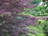 002_DSC_0013 (66)