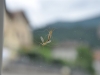 z2_DSC_0814Solstizio (3)