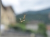 z2_DSC_0814Solstizio (4)