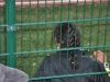 z2_andreattiSolstizio (14)
