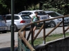 18-DSC_0981 (13)