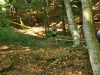 18-DSC_1044 (24)
