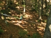 18-DSC_1044 (25)