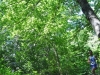 18-DSC_1045 (14)