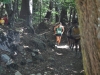 18-DSC_1045 (19)