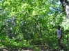 18-DSC_1045 (2)