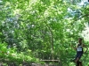 18-DSC_1045 (42)