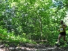 18-DSC_1045 (49)