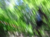 18-DSC_1045 (59)