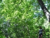 18-DSC_1045 (6)