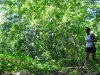 18-DSC_1045 (63)