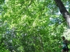 18-DSC_1045 (64)