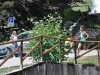 18-DSC_1046 (15)