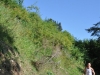 18-DSC_1046 (22)