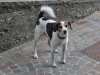 GPMezzof22Luglio2 (7)