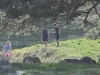 GaraAldeno_19102014 (19)
