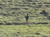GaraAldeno_19102014 (64)
