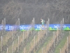 Villalagarina_11012015 (63)