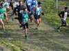 Z_CrossBiciGrill (5)