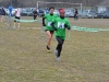 Nogaredo_010315 (1)