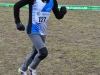 Nogaredo_010315 (4)