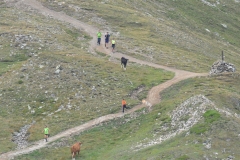 campotures_08082015-18