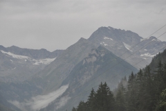 campotures_08082015-52