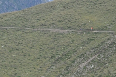 campotures_08082015-85