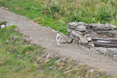 campotures_08082015-86