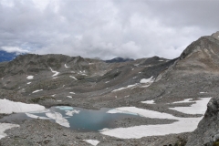 rifpetrarca_02082015-14