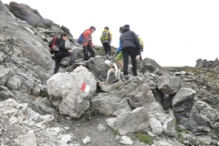 rifpetrarca_02082015-17