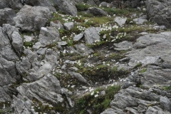 rifpetrarca_02082015-18