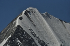 rifpetrarca_02082015-34