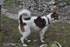 rifpetrarca_02082015-39