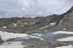 rifpetrarca_02082015-8
