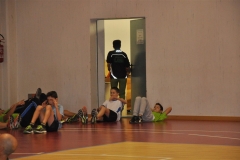 17112015_Palestra_(1)