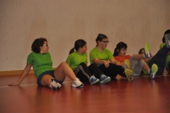 17112015_Palestra_(37)