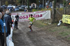 CrossRosalpina_27112016_(20)