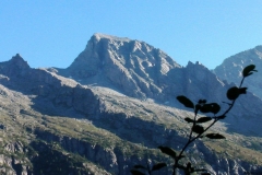 IMGA0132